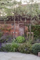Cour-jardin murée avec dallage en grès, écran plissé Pyrus salicifolia 'Pendula' et petits parterres secs