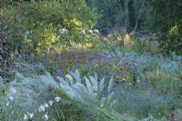 Plantation mixte de plantes vivaces à Knoll Gardens dans le Dorset
