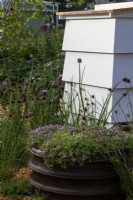 Herbes dans un pot recyclé - RHS Malvern Spring Festival 2023 - Bee Positive, Bee Kind, Bee Aware - Designers Rick Ford, Katie Gentle