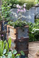 Pots industriels recyclés utilisés pour la plantation - RHS Malvern Spring Festival 2023 - Bee Positive, Bee Kind, Bee Aware - Designers Rick Ford, Katie Gentle