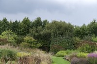 Parterres de fleurs d'automne dans les jardins de Vlinderhof aux Pays-Bas