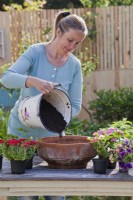 Femme plantant des fleurs annuelles dans un pot en terre cuite - remplissant de compost..