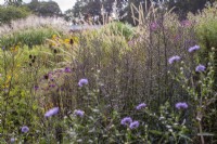Parterre de fleurs de style prairie avec graminées et plantes vivaces dans le jardin d'exposition. Plantes inc : Asters et lits de semence