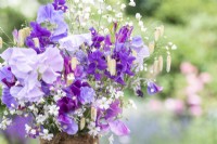 Bouquet de fleurs contenant Gypsophila elegans 'Covent Garden', Salvia viridis 'Blue Monday', Briza maxima, Lathyrus 'Matucana' et Pois de senteur 'Midnight Blues'
