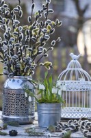 Perce-neige cultivés en pot en métal et bouquet de saule dans un vase.