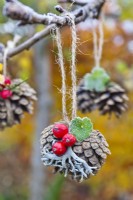 Pommes de pin décorées de baies de Cotoneaster et de lichens.