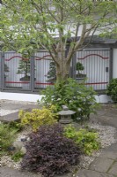 Jardin de bonsaïs aux jardins botaniques et serres de Birmingham
