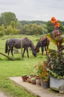 Jardin campagnard avec chevaux dans le champ attenant