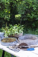 Fougères, lierre, tamis à compost, compost, pelle, compost, corde, fil, cisailles à bonsaï, arrosoir, pinces, grillage et mousse disposés sur une table en bois