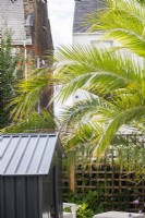 Jardin surplombant de grandes feuilles de palmier