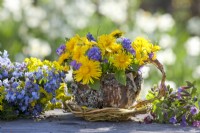 Bouquet printanier contenant de la jacinthe de raisin, de l'alto et du pissenlit dans une théière en écorce, saule et lichens.