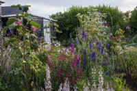 Vue sur les parterres de fleurs du jardin de cottage au début de l'été, montrant des plantations informelles à différentes hauteurs et un mélange de couleurs