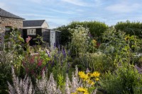 Vue sur les parterres de fleurs du jardin de cottage au début de l'été, montrant des plantations informelles à différentes hauteurs et un mélange de couleurs
