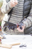 Femme tenant un conker et une chauve-souris à feuilles d'érable
