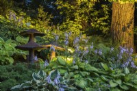 Arbre à feuilles caduques illuminé sous-planté d'Hosta à fleurs mixtes et de sculptures décoratives de champignons géants dans un parterre de fleurs incliné dans le jardin d'arrière-cour au crépuscule.
