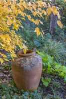 Un Robin perché sur le bord d'une urne en terre cuite dans un parterre de fleurs en automne - novembre
