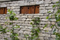 Nichoirs à oiseaux de John Hollington Design installés dans un mur de pierres sèches sur le jardin RSPCA conçu par Martyn Wilson - RHS Chelsea Flower Show 2023