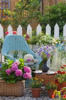 Bouquet de fleurs avec des bleuets, des carottes sauvages et des ontainers avec des hortensias, des zinnia, des plantes de curry et des fleurs de balcon.