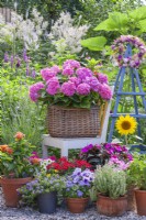 Pots avec Hortensia, Verveine, Lantana, Impatiens, Surfinia, tournesol et herbes exposés sur un patio en gravier.