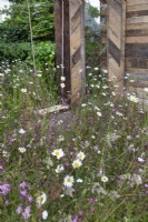 Fleurs sauvages devant des matériaux recyclés bruts dans le jardin « Inspiration in the Raw » au BBC Gardener's World Live 2018