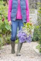 Femme portant un grand bouquet d'Asters dans le jardin