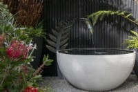 Cyathea dealbata - fougère argentée - fontaine contemporaine inspirée du jardin Feels Like Home conçu par Rosemary Coldstream - À propos du jardin - RHS Chelsea Flower Show 2023