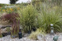 Dans le Bottle Garden, diverses herbes poussent sur un substrat de gravier parmi de nombreuses bouteilles en verre de différentes couleurs. Lumières du port, jardin Devon NGS. Juillet.