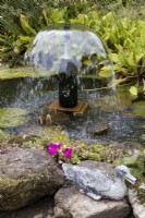 Une 'fontaine à champagne', réalisée à partir d'une bouteille de champagne au milieu d'un petit étang. Des feuilles de nénuphar sont dans l'étang et le bord en pierre de l'étang est au premier plan, avec un ornement de canard sur le mur. Lumières du port, jardin Devon NGS. Juillet.