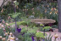 Bol d'eau fixe, constitué de déchets, entouré d'iris barbus dans un jardin sec