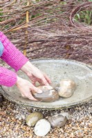 Femme plaçant des pierres dans le bain d'oiseaux pour que les oiseaux puissent se tenir dessus