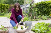 Femme plaçant du compost dans le pot de fraises