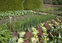 Le potager des jardins d'East Ruston à Norfolk en juin