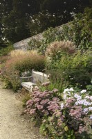 Parterre de fleurs roses dans le jardin clos de Parham House en septembre, comprenant Hylotelephium 'Matrona', persicarias et miscanthus.