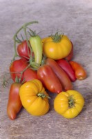 Solanum lycopersicum - tomates - en bas, fraise orange allemande, centre Jersey Devil et en haut Orange Wellington