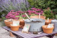 Pots en terre cuite contenant chacun une variété différente d'ampoules dans des sacs en papier brun avec un bassin rempli de compost sur une table en bois