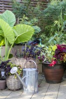 Un arrosoir galvanisé et des plantes en pot à April House, Gloucestershire.