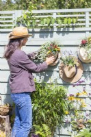 Femme accrochant des planteurs de chapeau sur une clôture en bois