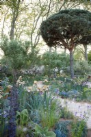 Le jardin Nurture Landscapes planté de plantes sélectionnées par Cedric Morris et d'un Pinus sylvestris coupé - Concepteur : Sarah Price - Commanditaire : Nurture Landscapes