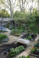 Vue sur le potager du jardin Savills avec du wasabi, Eutrema japonicum en croissance - Designer : Mark Gregory - Sponsor : Savills -