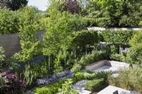 Arbres blanchis autour des limites du jardin contemporain en été