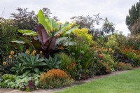 Plantation de style tropical aux couleurs chaudes dans le parterre de fleurs chaleureux du Bourton House Garden, Gloucestershire.