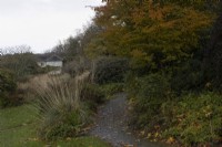 Un chemin de gravier serpente devant une herbe ornementale sur la gauche et des arbres et des arbustes sur la droite, au feuillage et aux couleurs d'automne variés. La maison du jardin, Yelverton. Automne, novembre