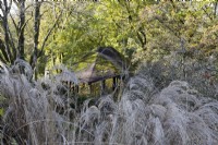 Une vue sur les graminées ornementales jusqu'au toit d'un pavillon d'été, couvert de mousse, dans un cadre boisé. La maison du jardin, Yelverton. Automne, novembre