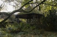 Une maison d'été en bois recouverte de mousse, située dans un jardin arboré avec des fougères au premier plan. La maison du jardin, Yelverton. Automne, novembre