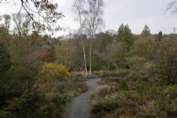 Une vue d'automne sur le jardin de la carrière avec le jardin du chalet en arrière-plan, avec un chemin de gravier sinueux au milieu. La maison du jardin, Yelverton. Automne, novembre