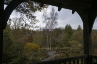 Une vue d'automne depuis le pavillon d'été en bois sur le jardin de la carrière avec le jardin du chalet en arrière-plan, avec un chemin de gravier sinueux au milieu. La maison du jardin, Yelverton. Automne, novembre