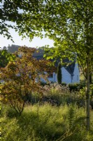 Vieille maison en pierre galloise, vue à travers de jeunes plantations forestières, avec bouleau argenté et érable