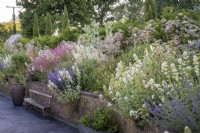 Des murs en pierre bordent un parterre de jardin de cottage, avec un patio pavé moderne au fond, de la valériane rouge et blanche auto-ensemencée à travers le parterre de fleurs