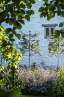 Arbres à poutres blanches plissés formés dans des parterres de fleurs de style jardin de cottage