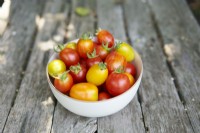 Bol de tomates cerises récoltées sur une table en bois